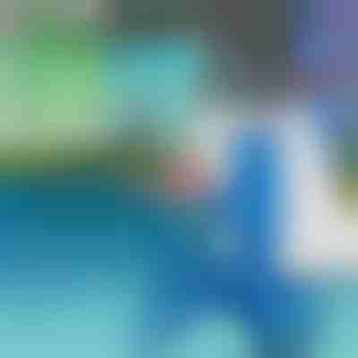 Прахосмукачка за Басейн Смукателна глава | POOLOOVER