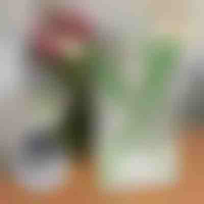 Шикозна Ваза за Цветя във Формата на Книга | FLOWERFRAME