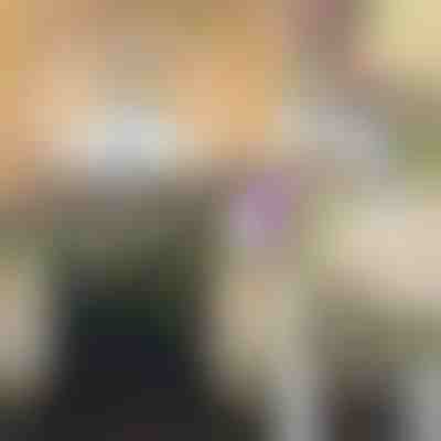 Клонка Глициния Цветна лоза | WISBLOOM