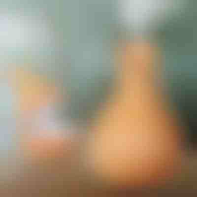 Дървен овлажнител | HUMISTER