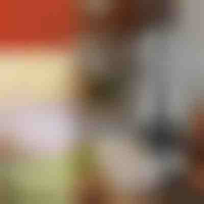 Ръчен чопър за рязане на зеленчуци | CHOPSTER