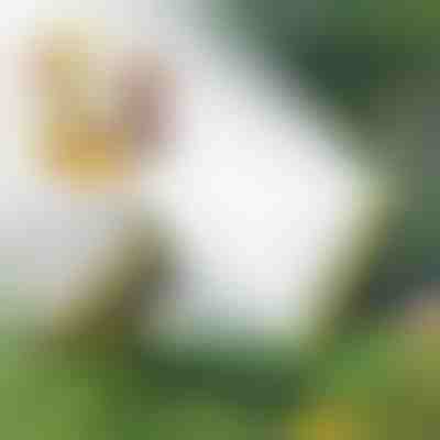 Разпръсквач с няколко дюзи за маркуч | SPRAYMASTER