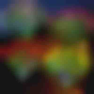 Соларни светещи цветя | ROSILUME