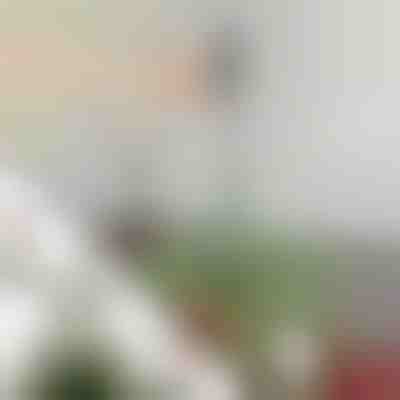 Регулируем стабилизиращ прът за връх на елха | STABLESTAR